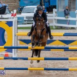 Bermuda Equestrian Federation Jumper Show, November 24 2018-9885