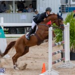 Bermuda Equestrian Federation Jumper Show, November 24 2018-9904