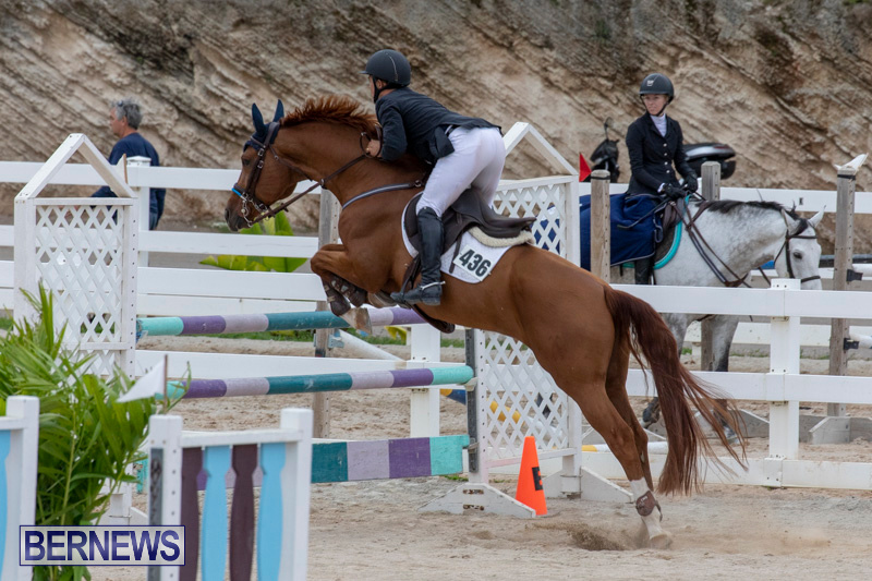 Bermuda-Equestrian-Federation-Jumper-Show-November-24-2018-9921