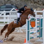 Bermuda Equestrian Federation Jumper Show, November 24 2018-9932