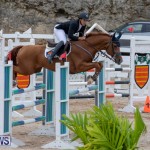Bermuda Equestrian Federation Jumper Show, November 24 2018-9934