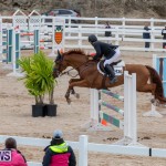 Bermuda Equestrian Federation Jumper Show, November 24 2018-9940