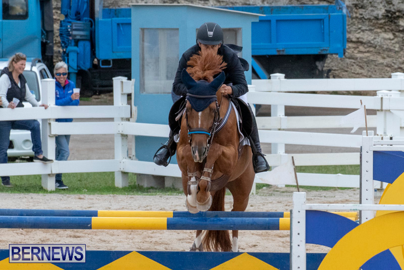Bermuda-Equestrian-Federation-Jumper-Show-November-24-2018-9946