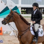 Bermuda Equestrian Federation Jumper Show, November 24 2018-9988