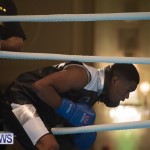 Bermuda Redemption Boxing Nov 2018 JM (103)