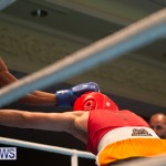 Bermuda Redemption Boxing Nov 2018 JM (11)
