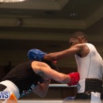 Bermuda Redemption Boxing Nov 2018 JM (112)
