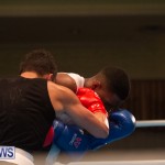 Bermuda Redemption Boxing Nov 2018 JM (113)