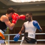 Bermuda Redemption Boxing Nov 2018 JM (119)