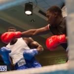 Bermuda Redemption Boxing Nov 2018 JM (135)