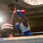 Bermuda Redemption Boxing Nov 2018 JM (138)