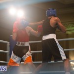 Bermuda Redemption Boxing Nov 2018 JM (16)
