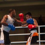 Bermuda Redemption Boxing Nov 2018 JM (176)