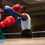 Bermuda Redemption Boxing Nov 2018 JM (191)
