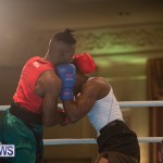 Bermuda Redemption Boxing Nov 2018 JM (201)