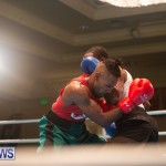 Bermuda Redemption Boxing Nov 2018 JM (204)