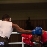 Bermuda Redemption Boxing Nov 2018 JM (210)