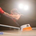 Bermuda Redemption Boxing Nov 2018 JM (244)