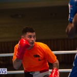 Bermuda Redemption Boxing Nov 2018 JM (25)