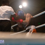 Bermuda Redemption Boxing Nov 2018 JM (250)