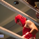 Bermuda Redemption Boxing Nov 2018 JM (254)