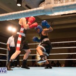 Bermuda Redemption Boxing Nov 2018 JM (271)