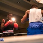 Bermuda Redemption Boxing Nov 2018 JM (285)