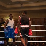 Bermuda Redemption Boxing Nov 2018 JM (292)