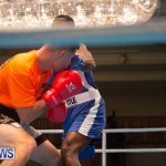 Bermuda Redemption Boxing Nov 2018 JM (30)