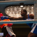Bermuda Redemption Boxing Nov 2018 JM (40)