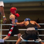 Bermuda Redemption Boxing Nov 2018 JM (61)