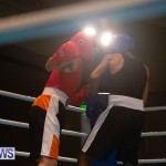 Bermuda Redemption Boxing Nov 2018 JM (7)