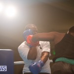 Bermuda Redemption Boxing Nov 2018 JM (84)