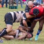 Bermuda Rugby Football Union League, November 24 2018-0448