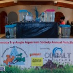 Fry-Angle Aquarium Fish Show Bermuda, November 17 2018-9201
