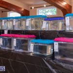Fry-Angle Aquarium Fish Show Bermuda, November 17 2018-9202