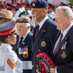 Remembrance Day Parade Bermuda, November 11 2018-7430