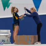 Student Cardboard Boat Challenge Bermuda, November 15 2018-8512