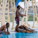 Student Cardboard Boat Challenge Bermuda, November 15 2018-8638