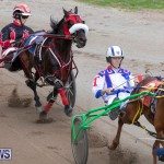Harness Pony Racing Bermuda, December 26 2018-5991