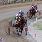 Harness Pony Racing Bermuda, December 26 2018-5999