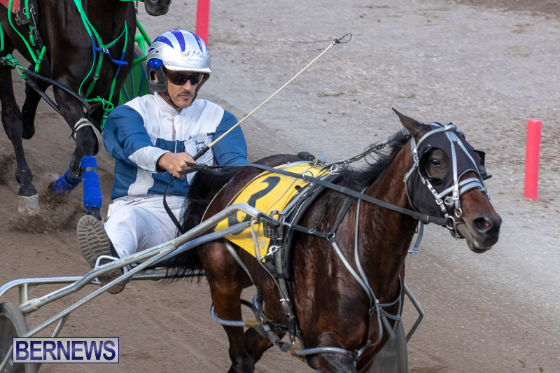 Harness-Pony-Racing-Bermuda-December-26-2018-6059