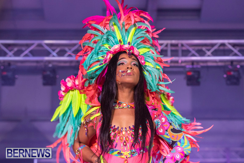 Bermuda-Heroes-Weekend-BHW-Band-Launch-Party-People-January-20-2019-4122