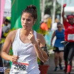 Bermuda Marathon Weekend Marathon and Half Marathon, January 20 2019-3389
