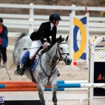 Equestrian Bermuda Jan 16 2019 (15)