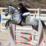 Equestrian Bermuda Jan 16 2019 (16)