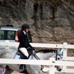 Equestrian Bermuda Jan 16 2019 (17)