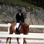 Equestrian Bermuda Jan 16 2019 (19)