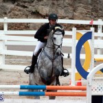 Equestrian Bermuda Jan 16 2019 (3)