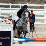 Equestrian Bermuda Jan 16 2019 (4)
